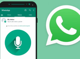 WhatsApp Audio Status Feature