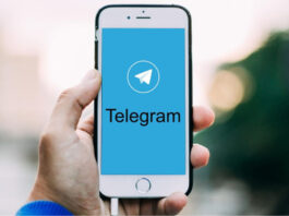 Telegram Channels Owners